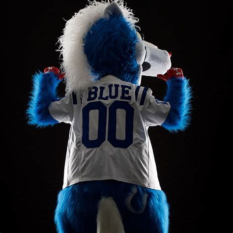 Blue colts mascot
